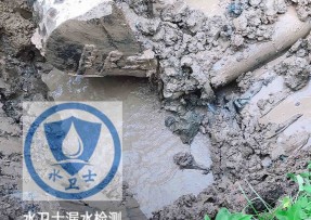 闵行区水管漏水检测公司5